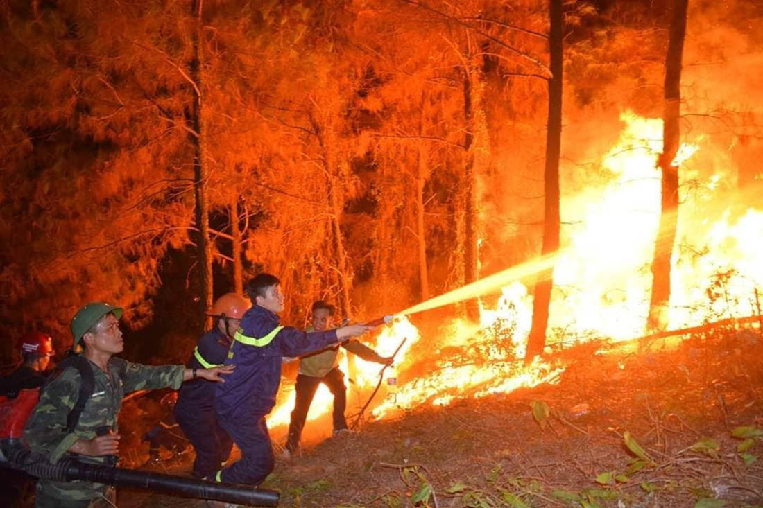 Cháy rừng ở Việt Nam